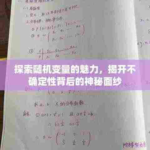 探索随机变量的魅力，揭开不确定性背后的神秘面纱