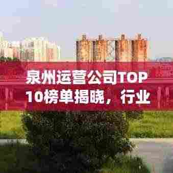 泉州运营公司TOP10榜单揭晓，行业领军者的耀眼风采！