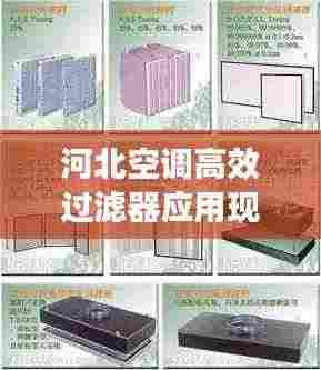 栖鸟于泉 第3页