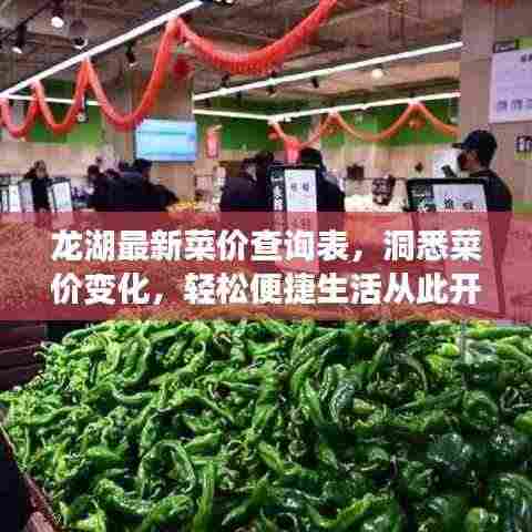 龙湖最新菜价查询表,洞悉菜价变化,轻松便捷生活从此开启