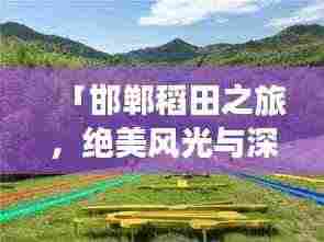「邯郸稻田之旅,绝美风光与深度体验攻略」