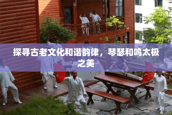 探寻古老文化和谐韵律,琴瑟和鸣太极之美