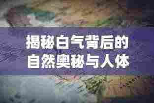 揭秘白气背后的自然奥秘与人体之谜的探索之旅