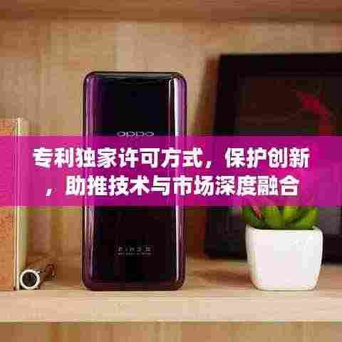 专利独家许可方式,保护创新,助推技术与市场深度融合