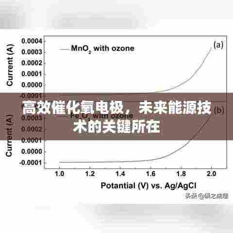 高效催化氧电极，未来能源技术的关键所在
