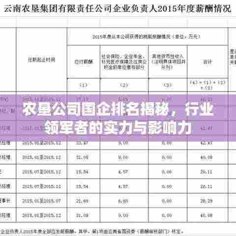 农垦公司国企排名揭秘，行业领军者的实力与影响力