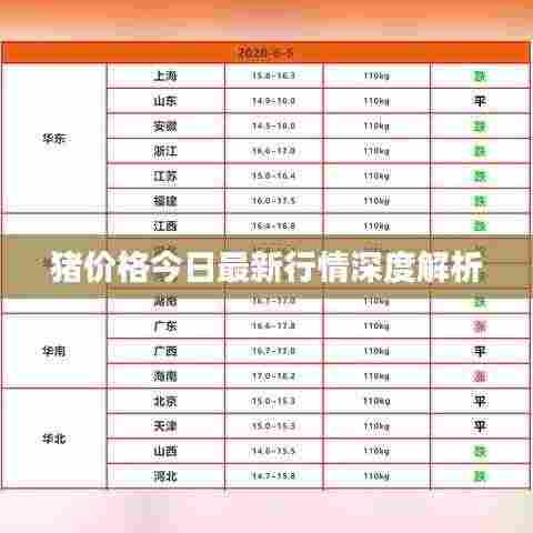 大雪纷飞 第3页