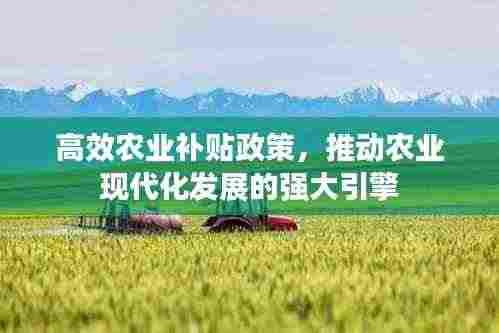 高效农业补贴政策，推动农业现代化发展的强大引擎