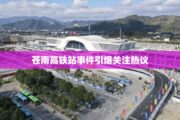 苍南高铁站事件引爆关注热议
