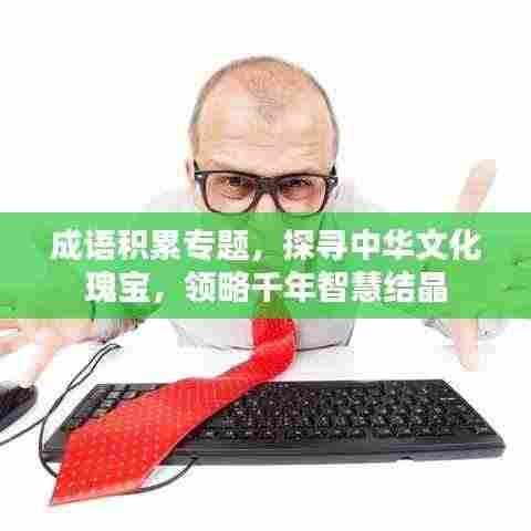 成语积累专题,探寻中华文化瑰宝,领略千年智慧结晶
