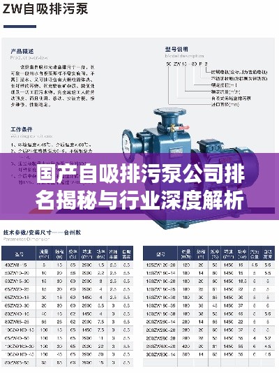 国产自吸排污泵公司排名揭秘与行业深度解析