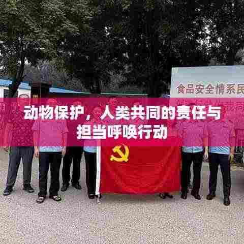 动物保护,人类共同的责任与担当呼唤行动