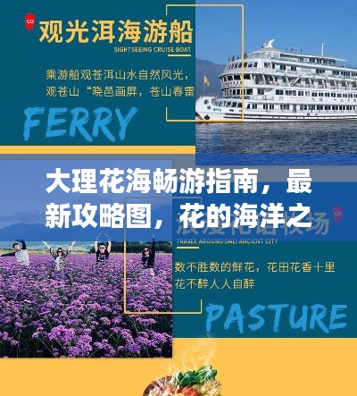 大理花海畅游指南,最新攻略图,花的海洋之旅