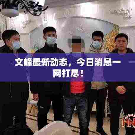 文峰最新动态，今日消息一网打尽！