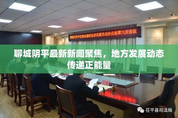 聊城阴平最新新闻聚焦,地方发展动态传递正能量
