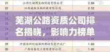 芜湖公路资质公司排名揭晓，影响力榜单重磅出炉！