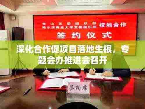 深化合作促项目落地生根,专题会办推进会召开