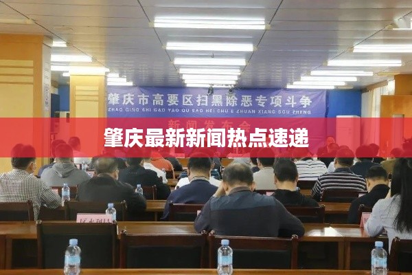 肇庆最新新闻热点速递