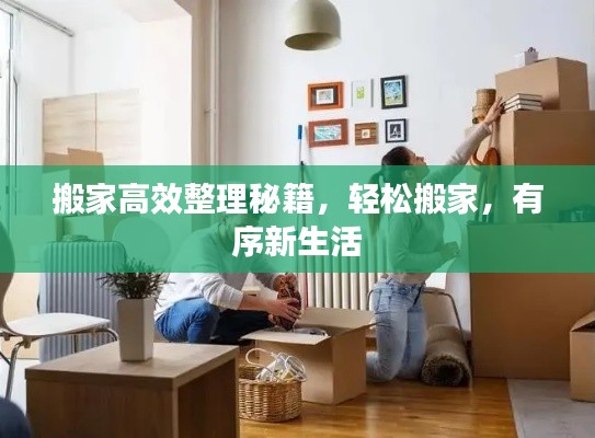 搬家高效整理秘籍,轻松搬家,有序新生活