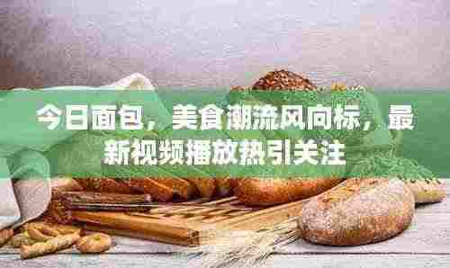今日面包,美食潮流风向标,最新视频播放热引关注