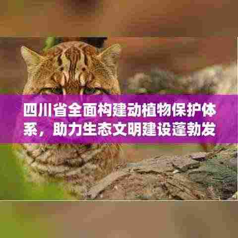 四川省全面构建动植物保护体系，助力生态文明建设蓬勃发展