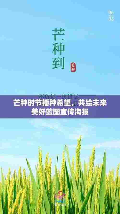 芒种时节播种希望，共绘未来美好蓝图宣传海报
