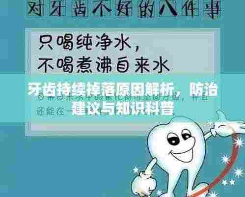 牙齿持续掉落原因解析,防治建议与知识科普