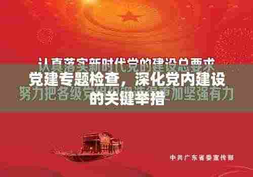 党建专题检查,深化党内建设的关键举措