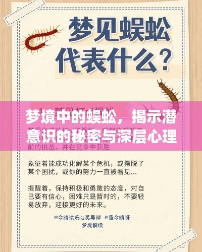 梦境中的蜈蚣,揭示潜意识的秘密与深层心理解读