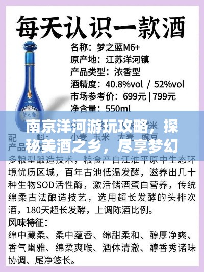 南京洋河游玩攻略，探秘美酒之乡，尽享梦幻之旅！