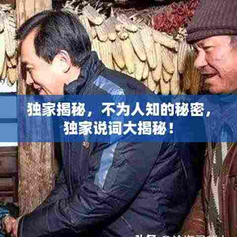 独家揭秘,不为人知的秘密,独家说词大揭秘!