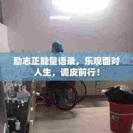 励志正能量语录,乐观面对人生,调皮前行!