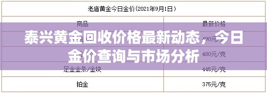 泰兴黄金回收价格最新动态,今日金价查询与市场分析