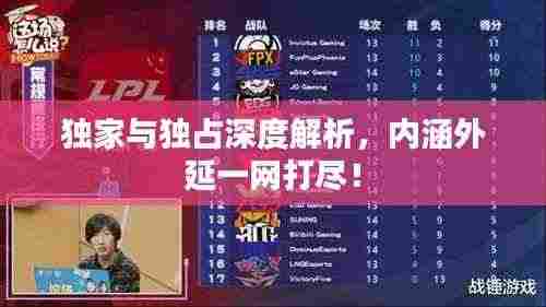 独家与独占深度解析，内涵外延一网打尽！