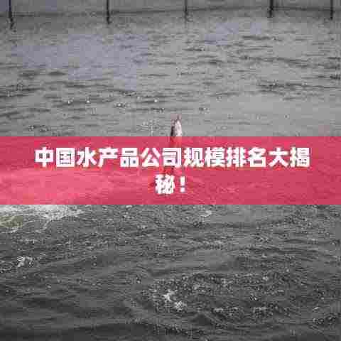 饭来张口 第2页