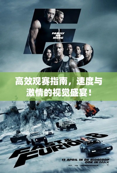 高效观赛指南，速度与激情的视觉盛宴！