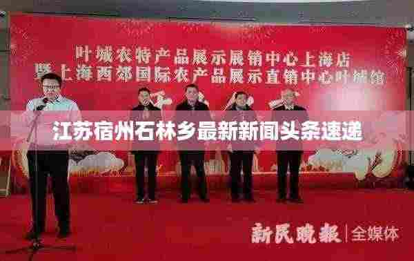 逆风飞扬 第2页