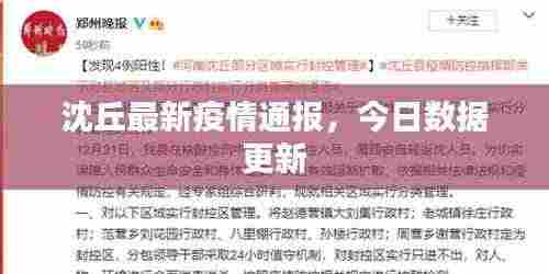 沈丘最新疫情通报,今日数据更新