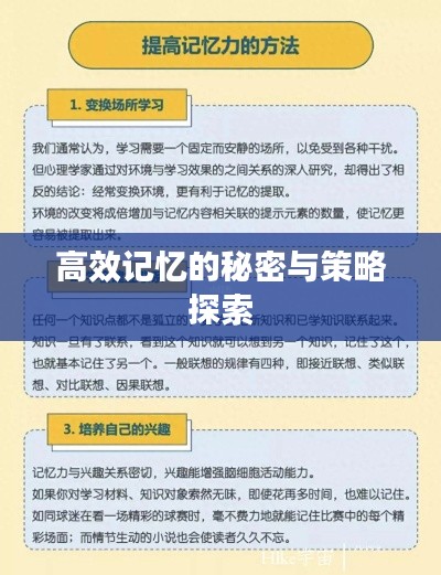 高效记忆的秘密与策略探索