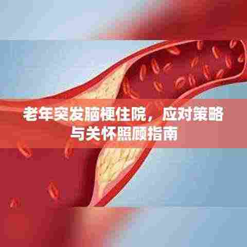 老年突发脑梗住院，应对策略与关怀照顾指南