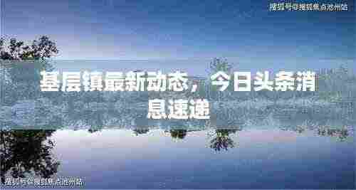 基层镇最新动态，今日头条消息速递