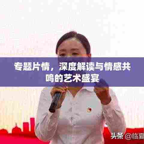 专题片情，深度解读与情感共鸣的艺术盛宴