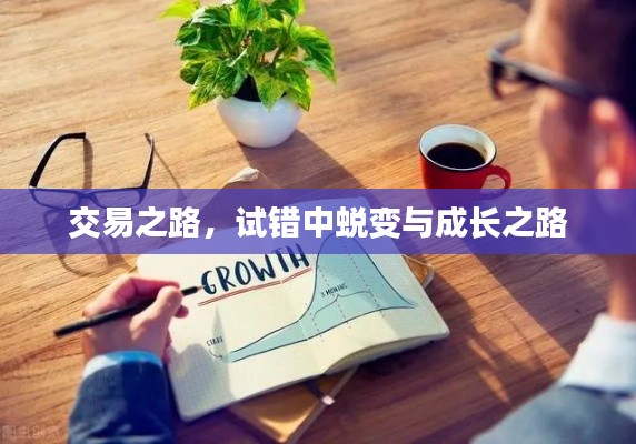 交易之路，试错中蜕变与成长之路
