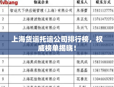 上海货运托运公司排行榜,权威榜单揭晓!