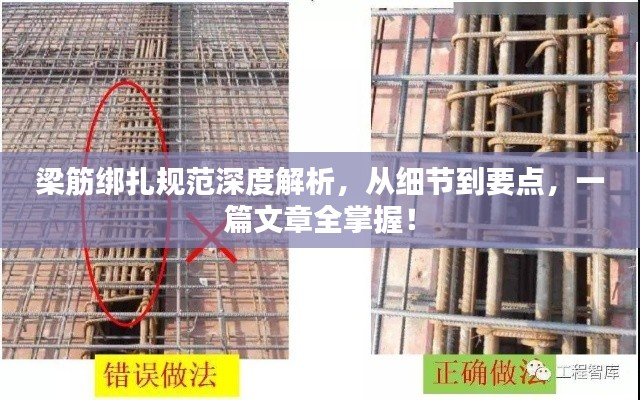 梁筋绑扎规范深度解析,从细节到要点,一篇文章全掌握!