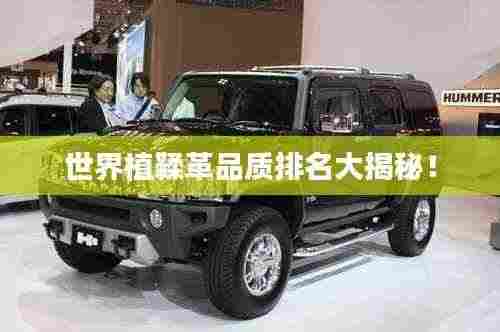 世界植鞣革品质排名大揭秘！