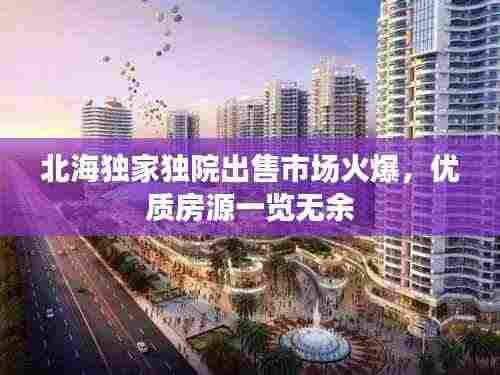 北海独家独院出售市场火爆,优质房源一览无余
