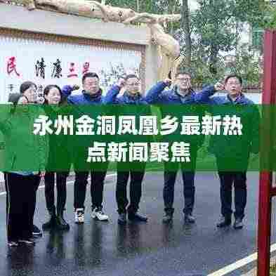 永州金洞凤凰乡最新热点新闻聚焦