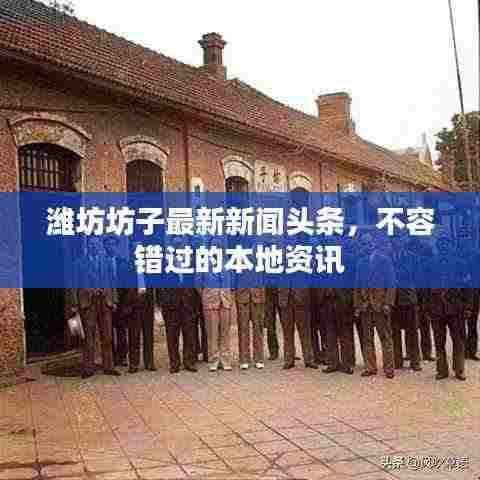 潍坊坊子最新新闻头条,不容错过的本地资讯